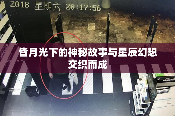 皆月光下的神秘故事与星辰幻想交织而成