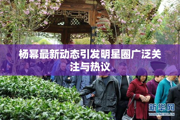 杨幂最新动态引发明星圈广泛关注与热议