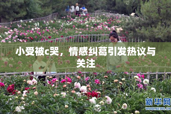 小受被c哭，情感纠葛引发热议与关注
