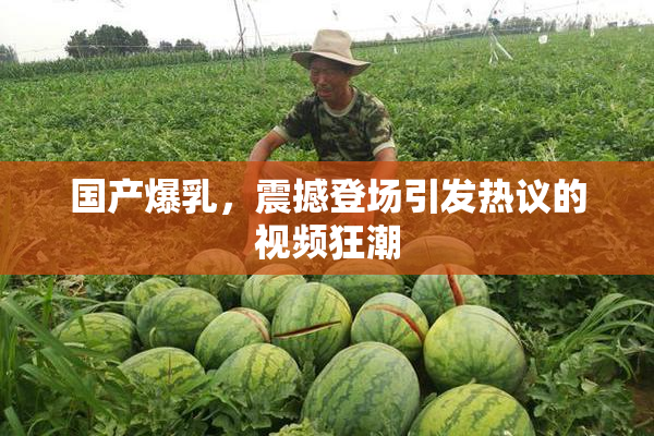 国产爆乳，震撼登场引发热议的视频狂潮