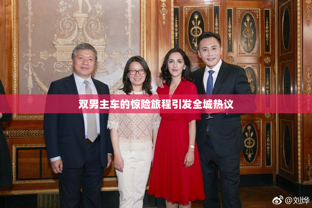 双男主车的惊险旅程引发全城热议
