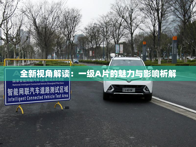 全新视角解读：一级A片的魅力与影响析解
