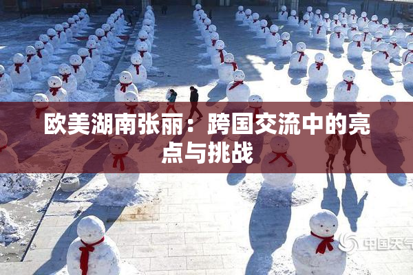 欧美湖南张丽：跨国交流中的亮点与挑战