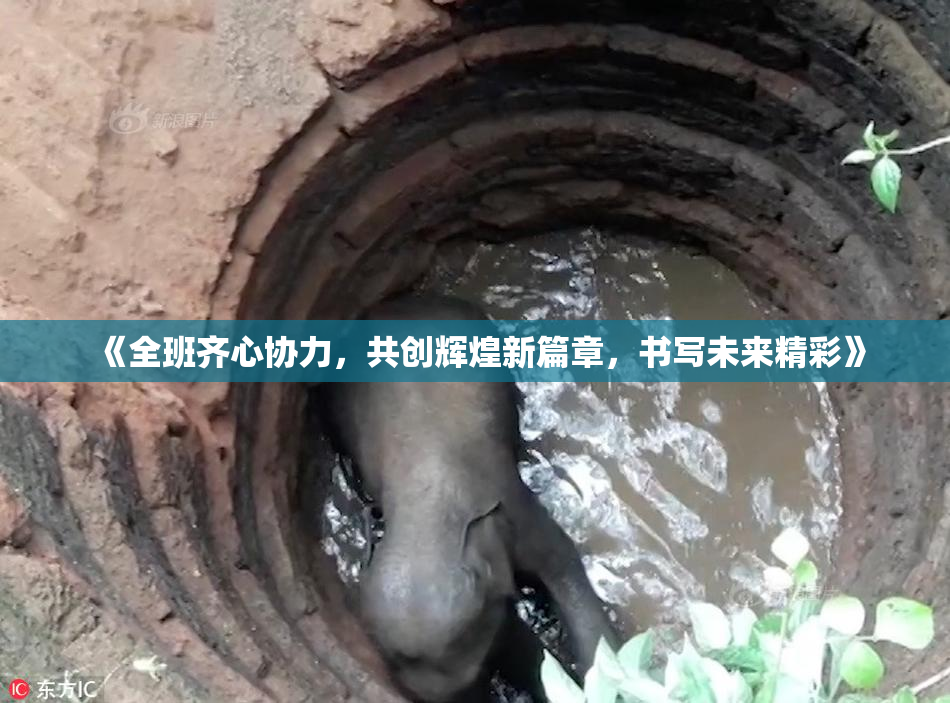 《全班齐心协力，共创辉煌新篇章，书写未来精彩》