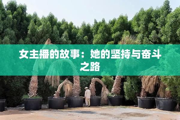 女主播的故事：她的坚持与奋斗之路