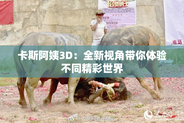 卡斯阿姨3D：全新视角带你体验不同精彩世界