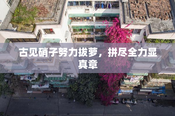 古见硝子努力拔萝，拼尽全力显真章