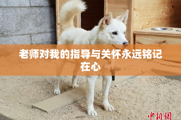 老师对我的指导与关怀永远铭记在心