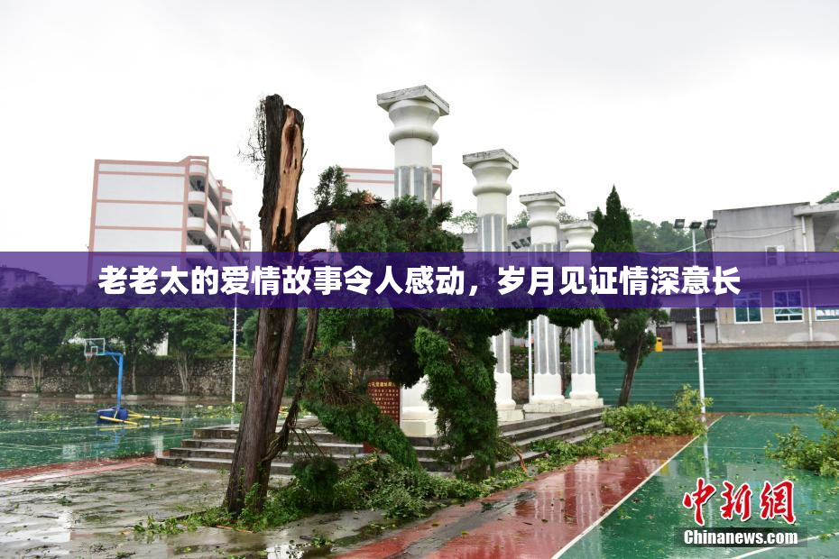 老老太的爱情故事令人感动，岁月见证情深意长