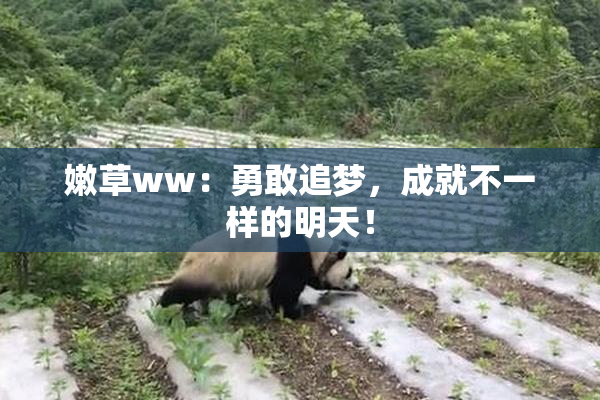 嫩草ww：勇敢追梦，成就不一样的明天！