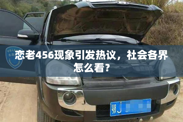 恋老456现象引发热议，社会各界怎么看？