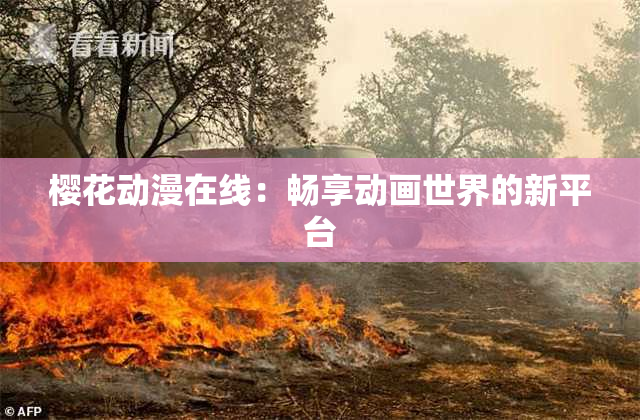 樱花动漫在线：畅享动画世界的新平台