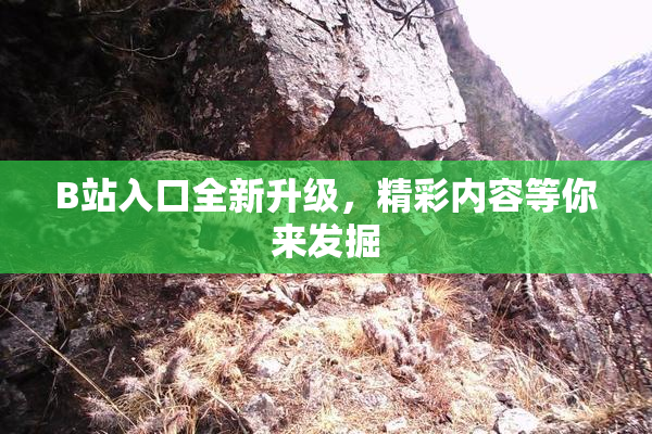 B站入口全新升级，精彩内容等你来发掘