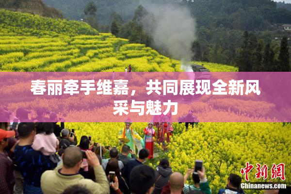 春丽牵手维嘉，共同展现全新风采与魅力
