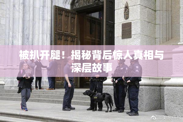被扒开腿！揭秘背后惊人真相与深层故事