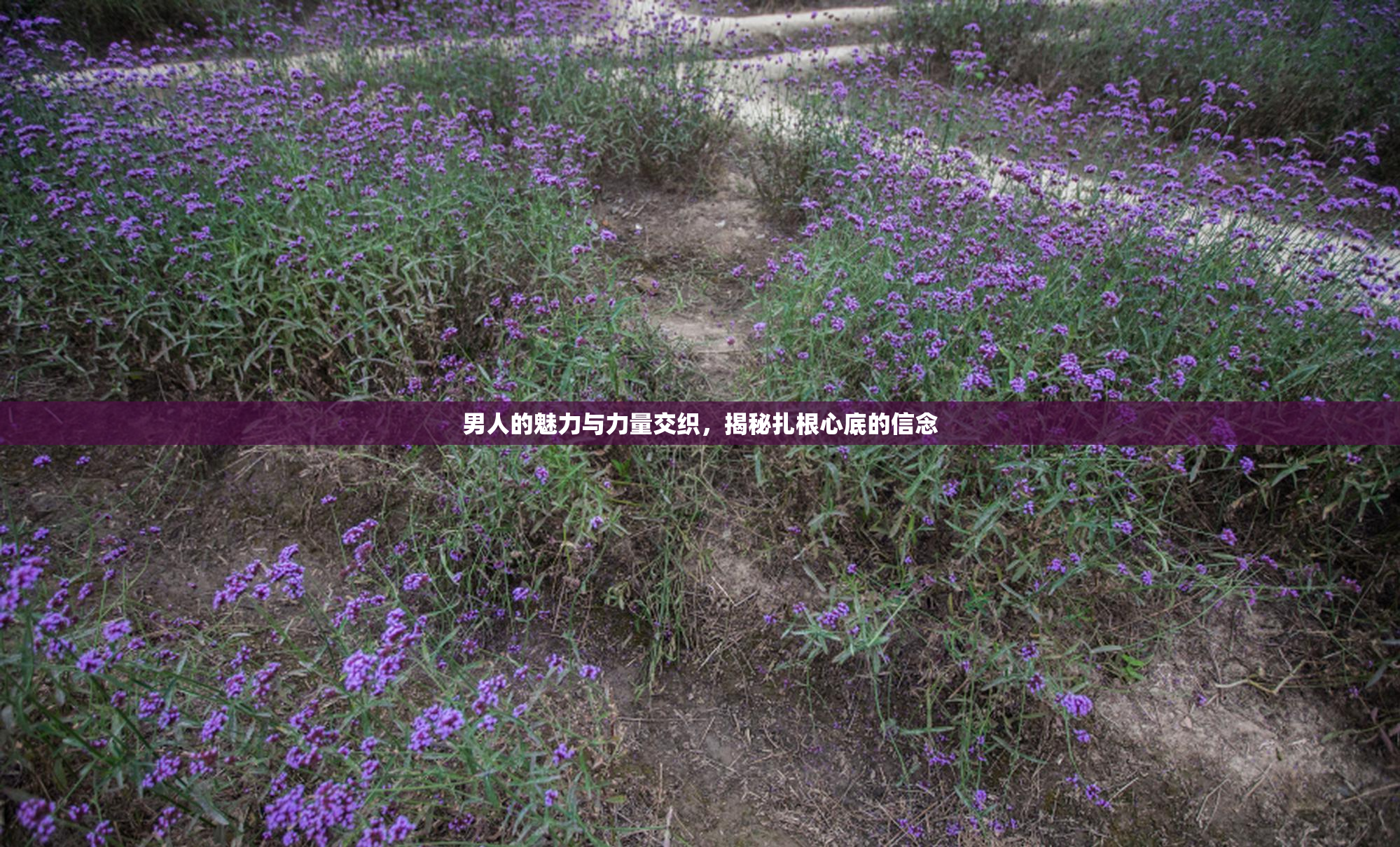 男人的魅力与力量交织，揭秘扎根心底的信念