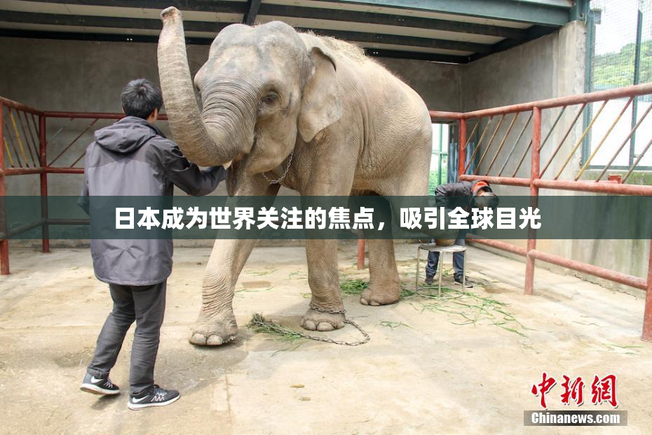 日本成为世界关注的焦点，吸引全球目光