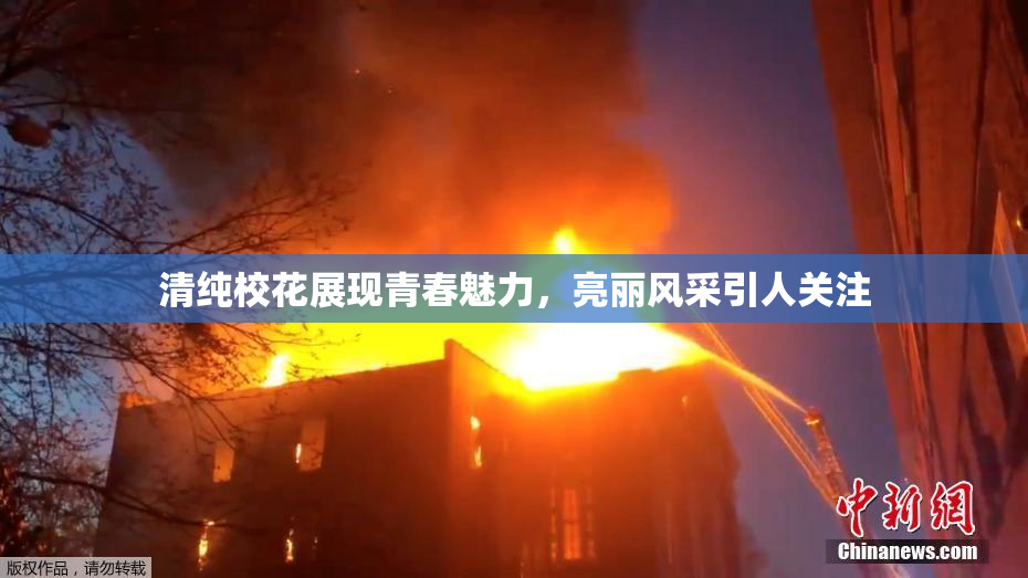 清纯校花展现青春魅力，亮丽风采引人关注