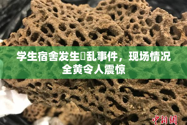 学生宿舍发生婬乱事件，现场情况全黄令人震惊