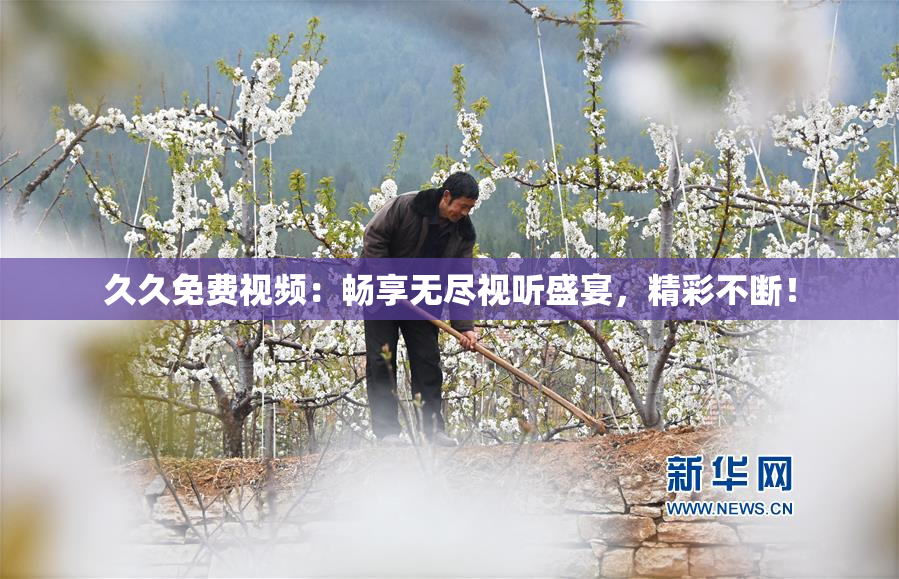 久久免费视频：畅享无尽视听盛宴，精彩不断！