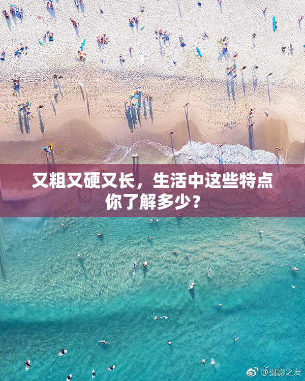又粗又硬又长，生活中这些特点你了解多少？