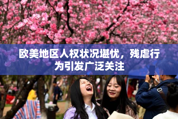 欧美地区人权状况堪忧，残虐行为引发广泛关注