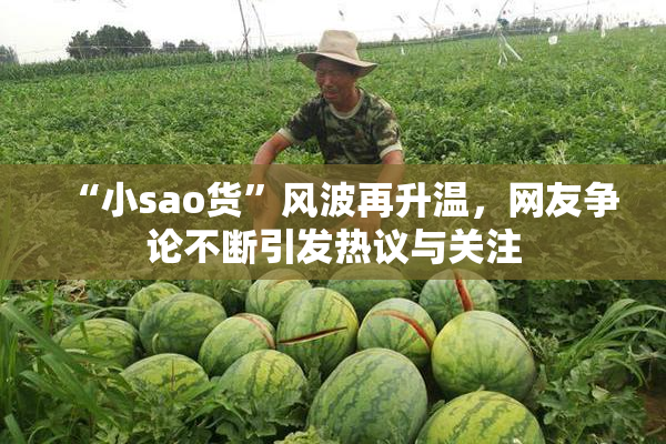 “小sao货”风波再升温，网友争论不断引发热议与关注