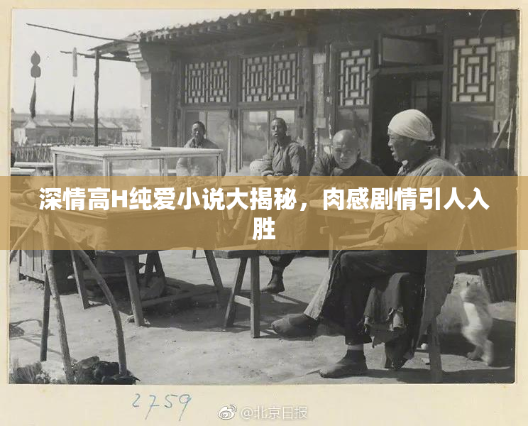 深情高H纯爱小说大揭秘，肉感剧情引人入胜