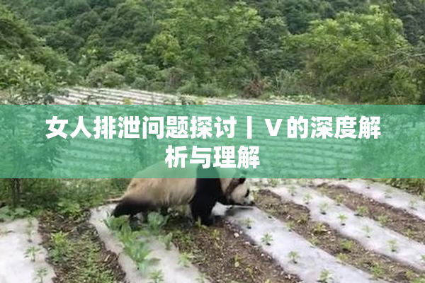 女人排泄问题探讨丨Ⅴ的深度解析与理解