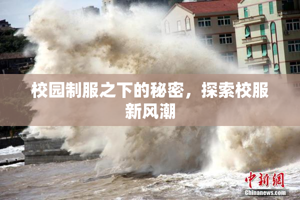 校园制服之下的秘密，探索校服新风潮