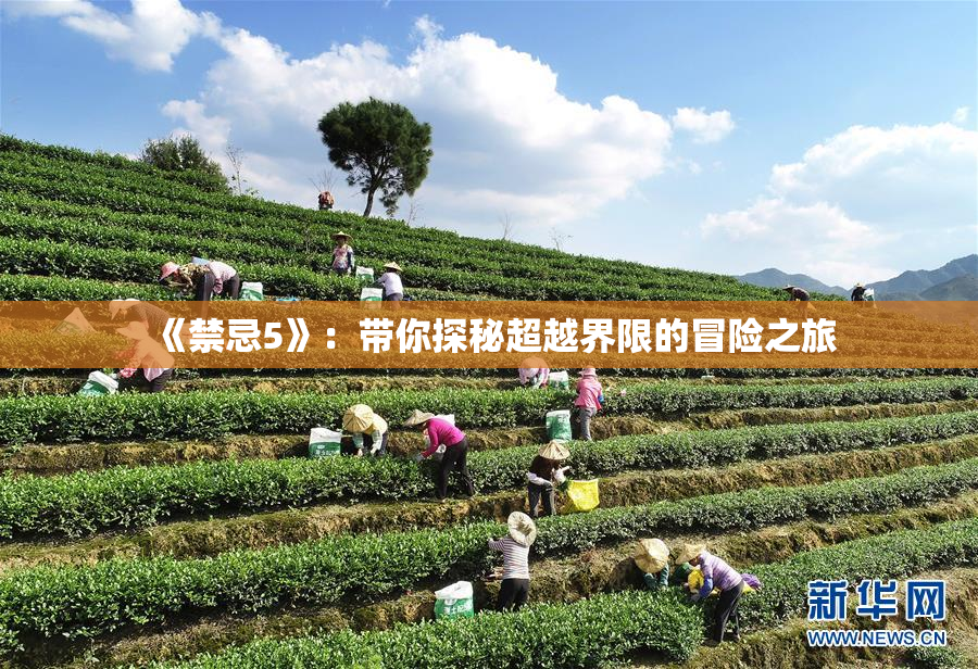《禁忌5》：带你探秘超越界限的冒险之旅