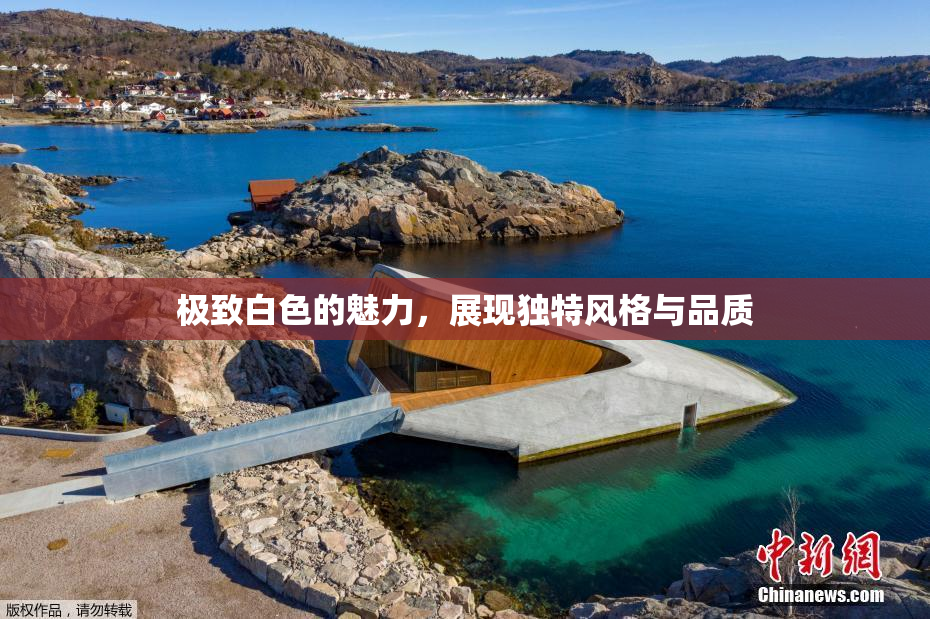 极致白色的魅力，展现独特风格与品质