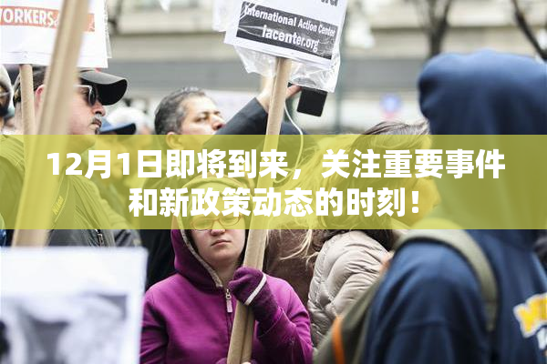 12月1日即将到来，关注重要事件和新政策动态的时刻！