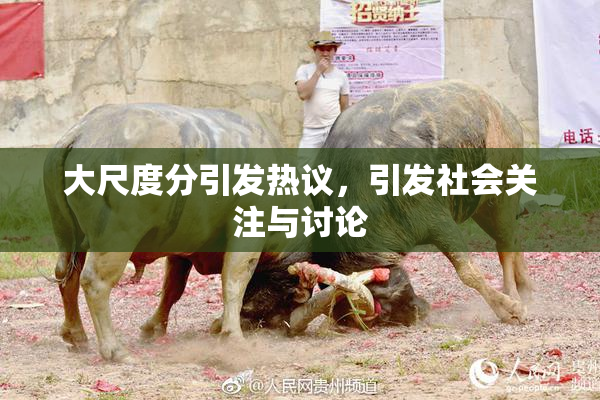大尺度分引发热议，引发社会关注与讨论