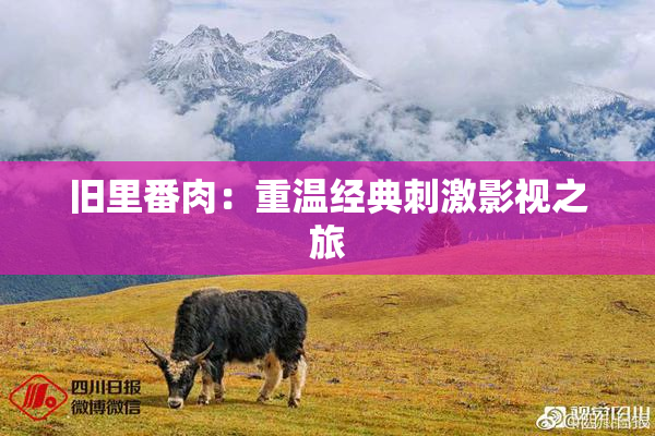 旧里番肉：重温经典刺激影视之旅