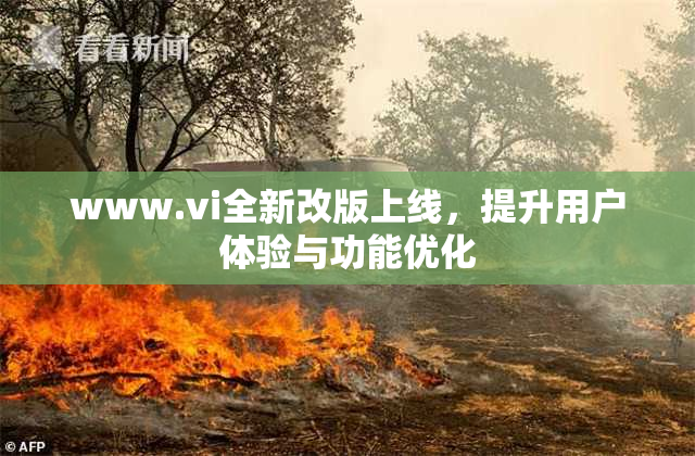 www.vi全新改版上线，提升用户体验与功能优化