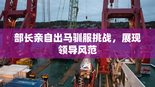 部长亲自出马驯服挑战，展现领导风范