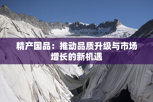 精产国品：推动品质升级与市场增长的新机遇