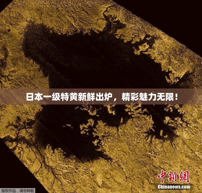 日本一级特黄新鲜出炉，精彩魅力无限！