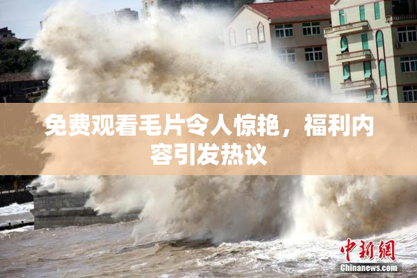 免费观看毛片令人惊艳，福利内容引发热议