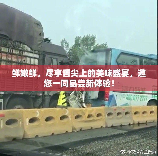 鲜嫩鲜，尽享舌尖上的美味盛宴，邀您一同品尝新体验！