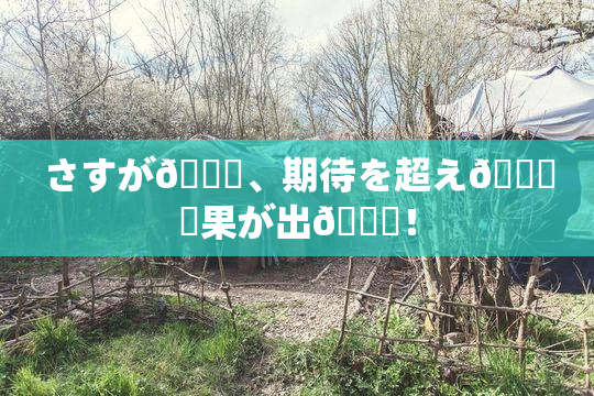 さすが🎆、期待を超え🌃結果が出👅！
