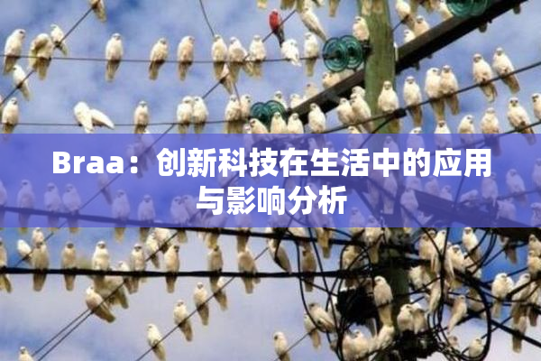 Braa：创新科技在生活中的应用与影响分析