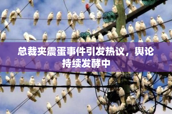 总裁夹震蛋事件引发热议，舆论持续发酵中