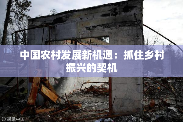 中国农村发展新机遇：抓住乡村振兴的契机