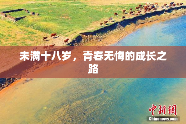 未满十八岁，青春无悔的成长之路