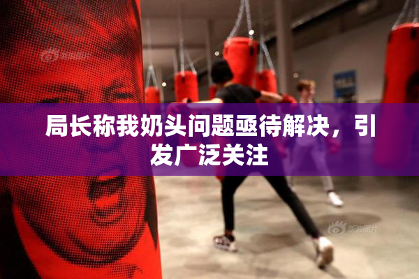 局长称我奶头问题亟待解决，引发广泛关注