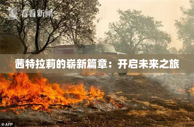 茜特拉莉的崭新篇章：开启未来之旅