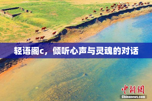 轻语阁c，倾听心声与灵魂的对话