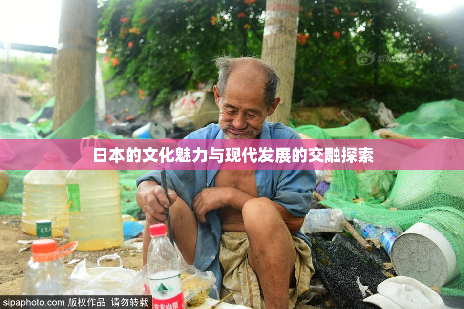 日本的文化魅力与现代发展的交融探索